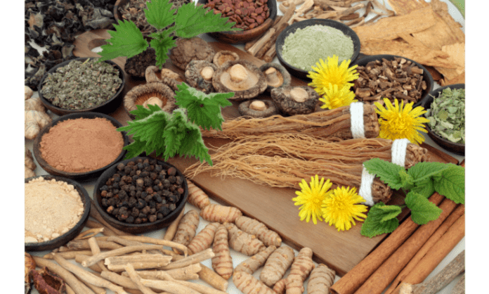 adaptogens herbs