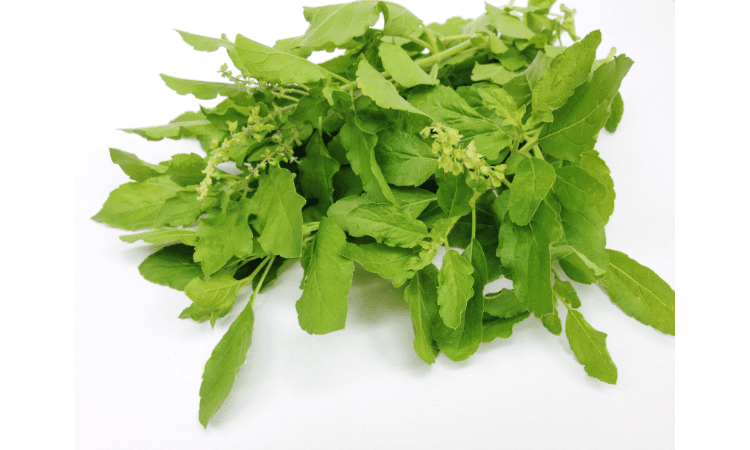 Benefits of adaptogens 