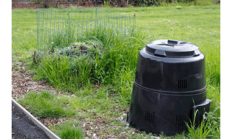 compost pile