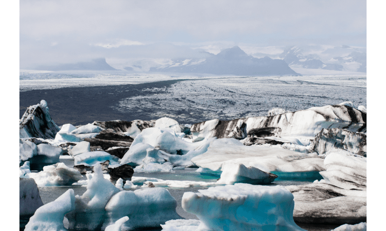 Action for Climate Emergency