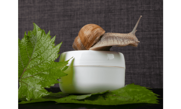Benefits of Snail Mucin cream to get brighter healthier skin
