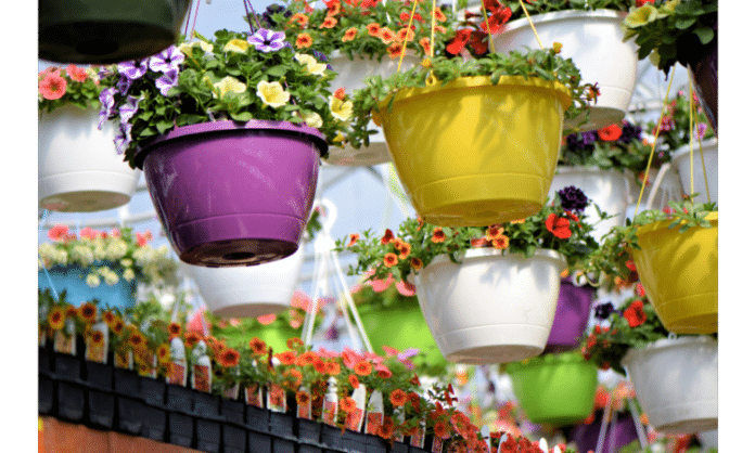 hanging basket