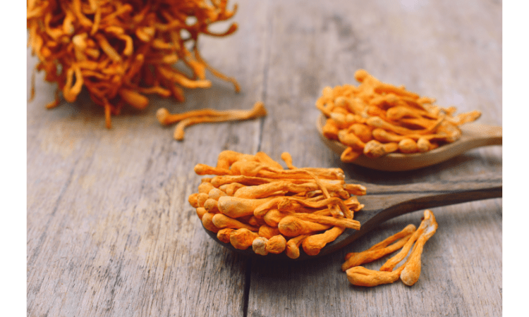 how do adaptogens work