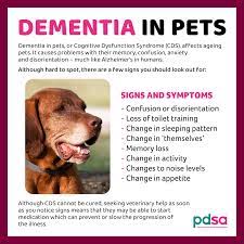 What are the symptoms of Dementia