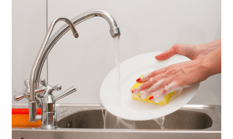 rinse dish
