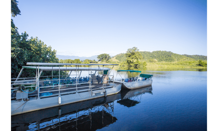 Daintree RainforestÂ