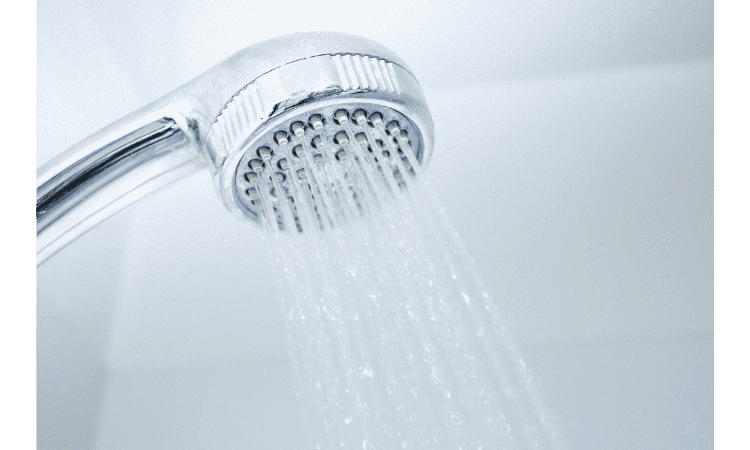 shower head