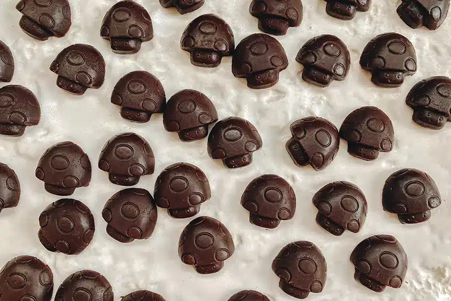 Shroom Chocolate bars