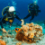 Scuba Diving Tips for Beginners