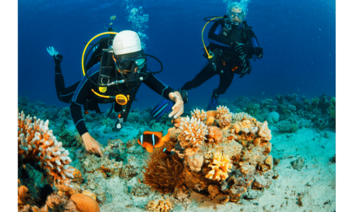 Scuba Diving Tips for Beginners