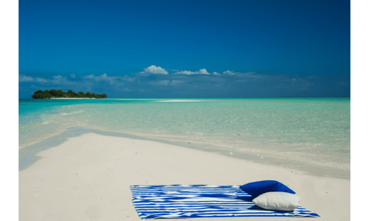 Essential Items for Cruise Trip