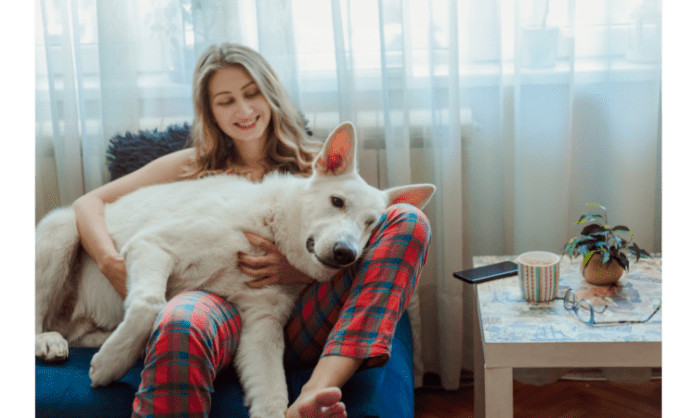 12 Ways How to bond with your dog