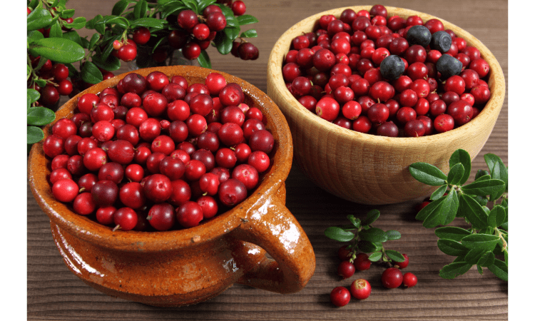 Cranberries for heart health benefits