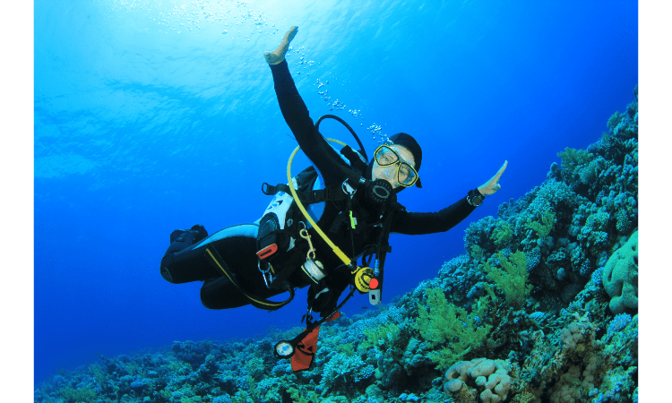 Scuba Diving Tips for Beginners