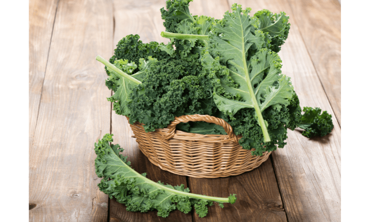 bes leafy greens to slow aging