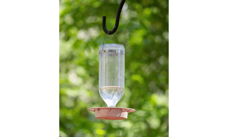 hummingbird feeder 