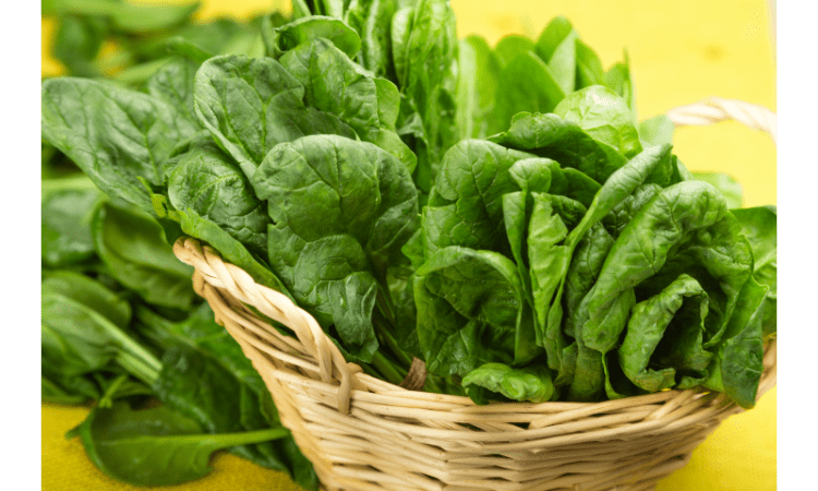best leafy greens to slow aging