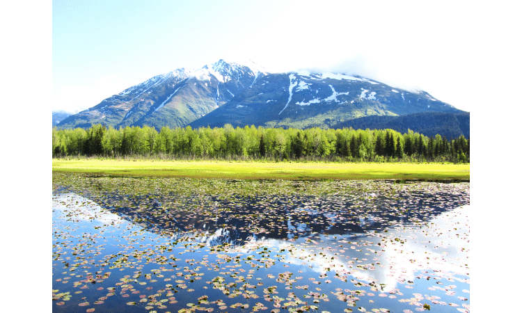 Best National Parks to visit in summer