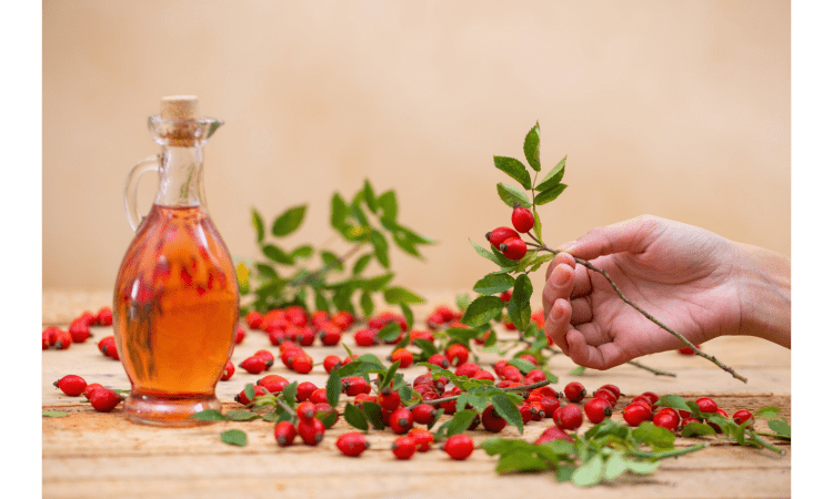 Rosehip Oil Benefits 