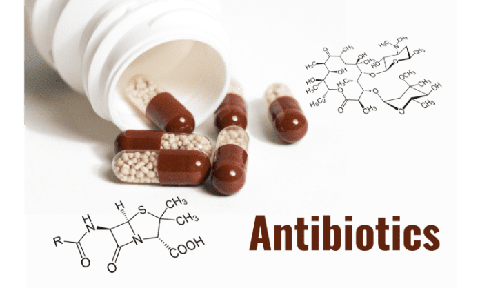 foods you should avoid when taking antibiotics