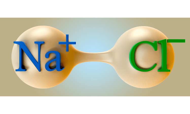 What is the difference between Sodium and Salt