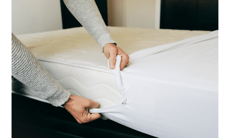 How to Get Rid of Bed Bugs in a Mattress