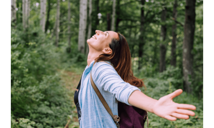 What is Forest bathing 