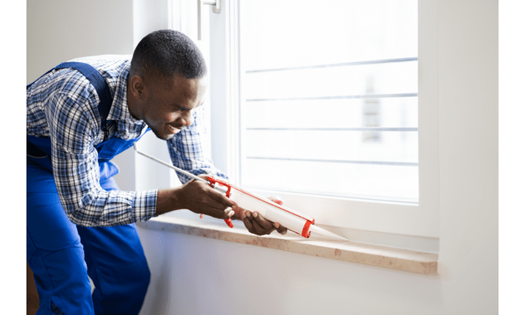 how to repel stink bugs from your house