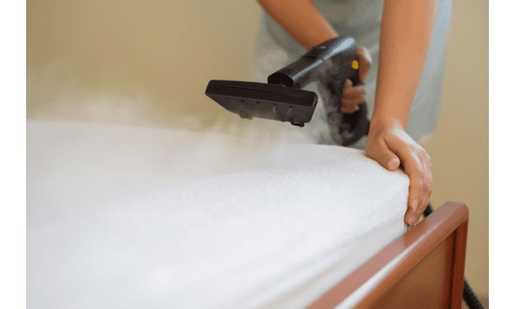 how to get rid of bed bugs from mattresses
