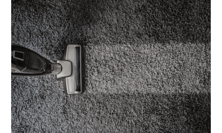 how to repel stink bugs from your house