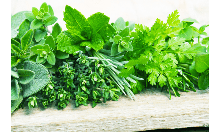 Which summer herbs should you swap and why