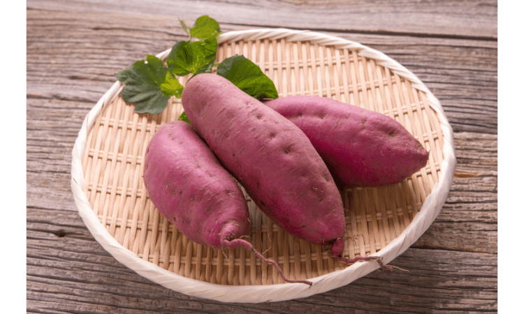 Best vitamin A rich foods to boost immunity