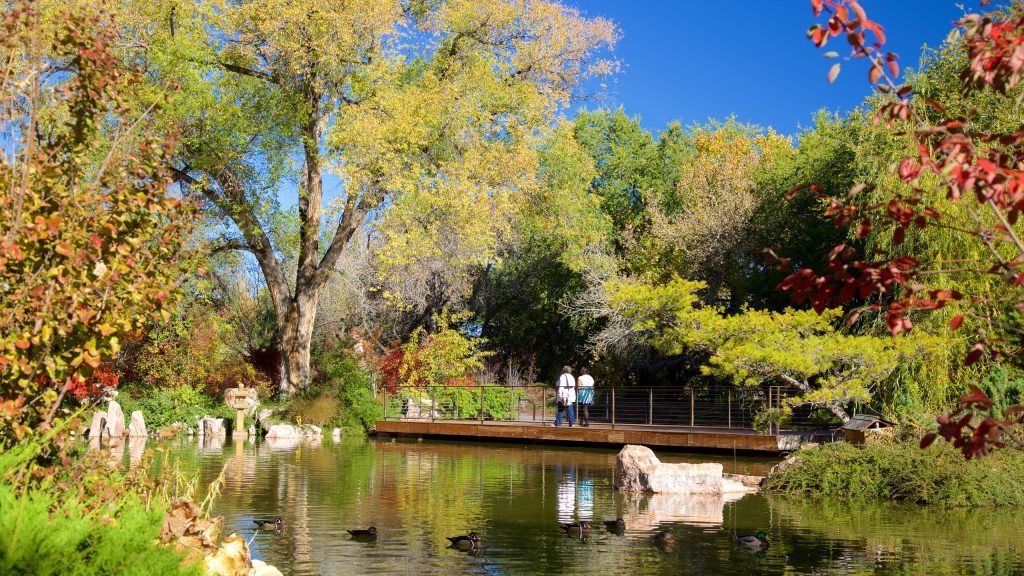 Exploring Albuquerque's Hidden Outdoor Gems Things to do Fun & Unusual