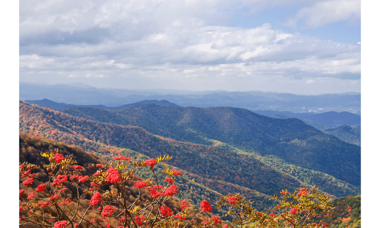 Fun and Uncommon Things to Do in Asheville North Carolina