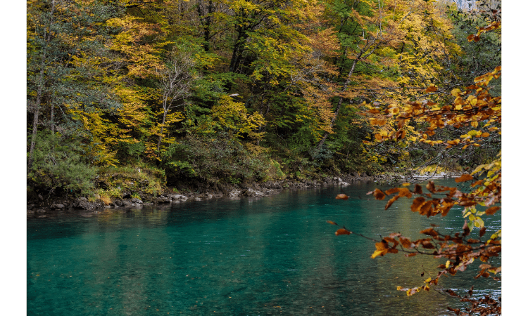 A Tour of the Five Cleanest Rivers in the World