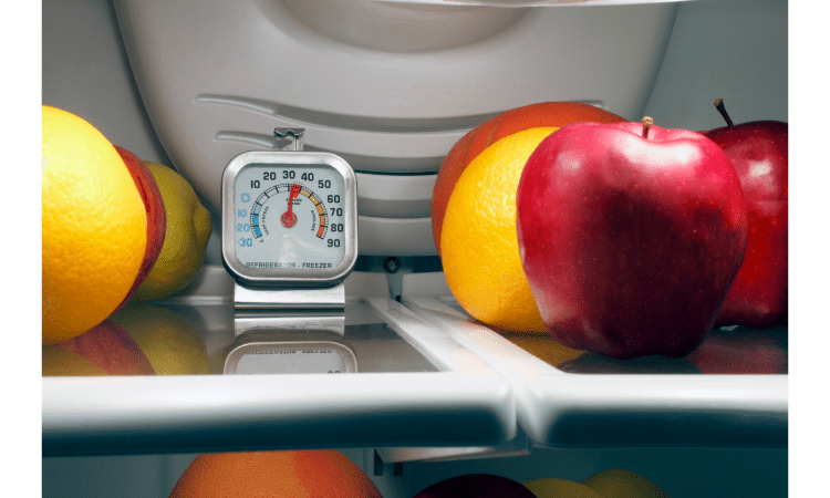 Things You Should Keep in Your Refrigerator That Are not Food