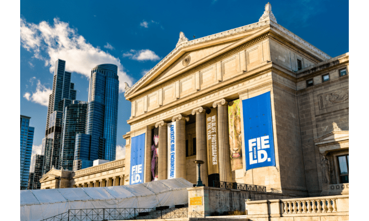 Family-friendly attractions in Chicago