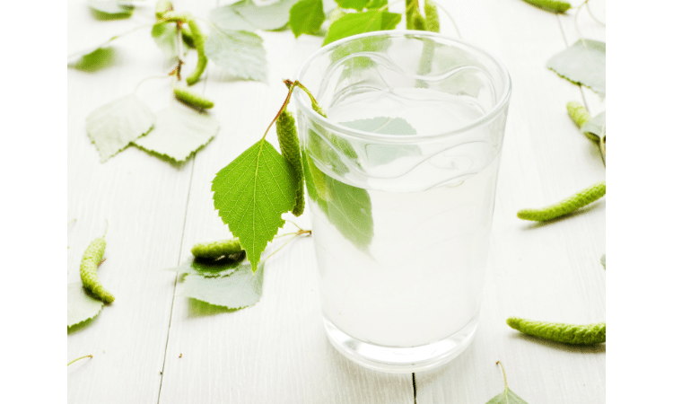 The Benefits Of Birch Sap In Skincare