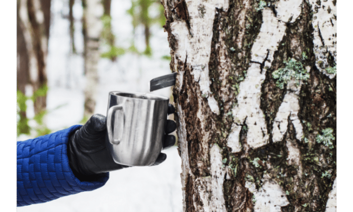birch sap extract The Benefits Of Birch Sap In Skincare