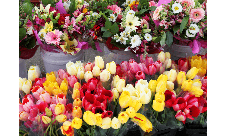 How to Keep Flowers Fresh for a Long Time: A Comprehensive Comment