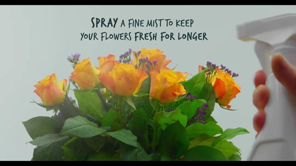 How to Keep Flowers Fresh for a Long Time: A Comprehensive Comment