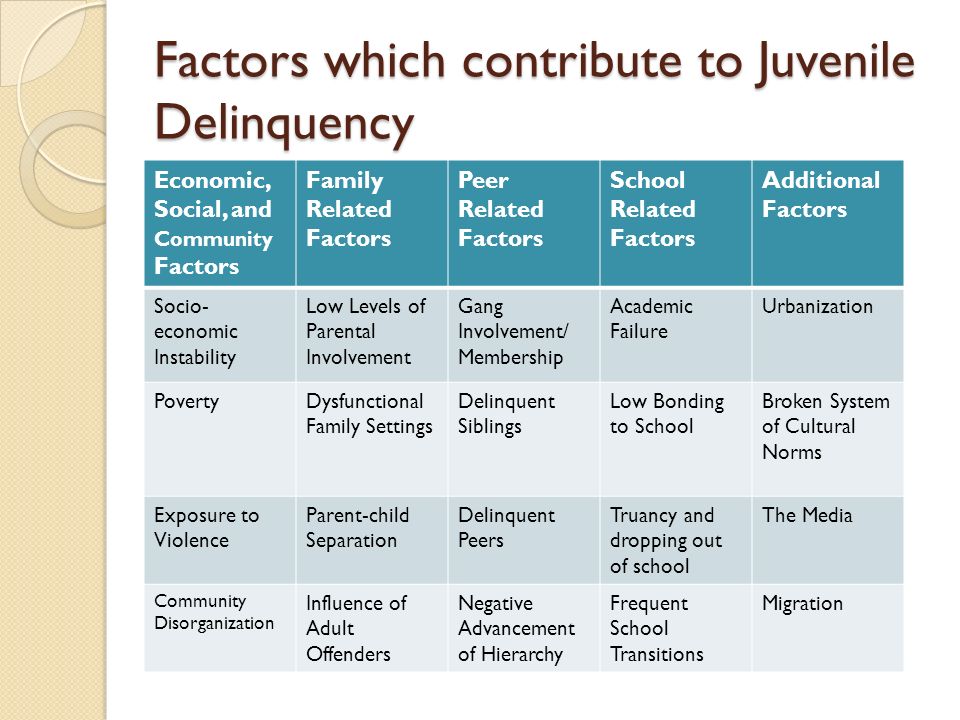 What are the Factors that Contribute to a Violent Mind?