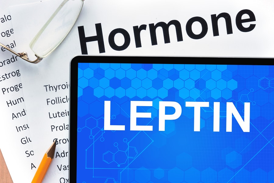  The Relationship Between Leptin and Ghrelin