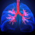 How to Improve Lung Health: A Comprehensive Guide