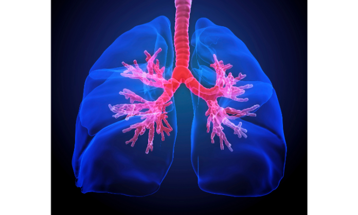 How to Improve Lung Health: A Comprehensive Guide