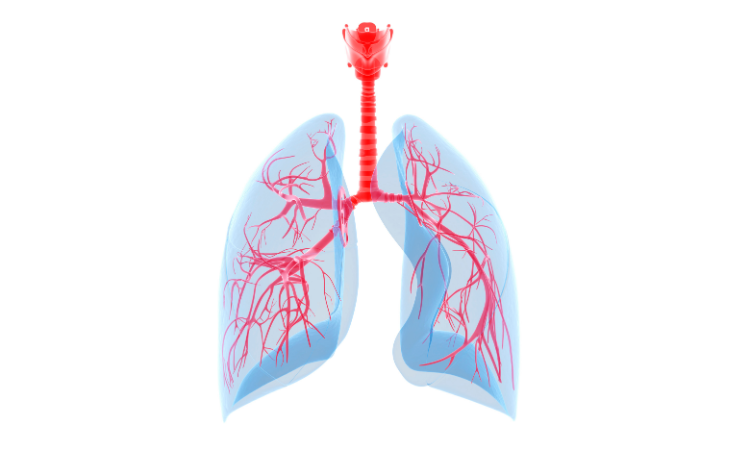 How to Improve Lung Health: A Comprehensive Guide
