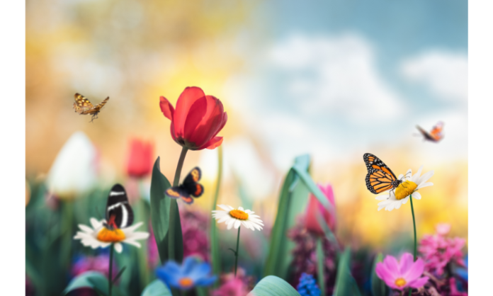 heading 10 Best Plants for Attracting Butterflies