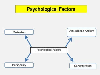 What are the Factors that Contribute to a Violent Mind?