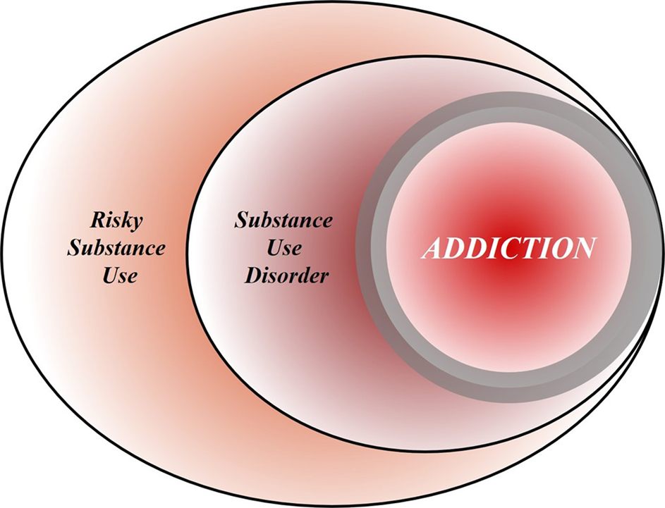 What are the Factors that Contribute to a Violent Mind?