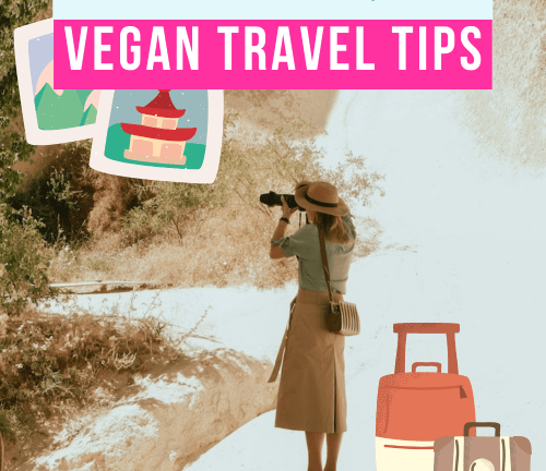 5 Best Travel Destinations for Vegans